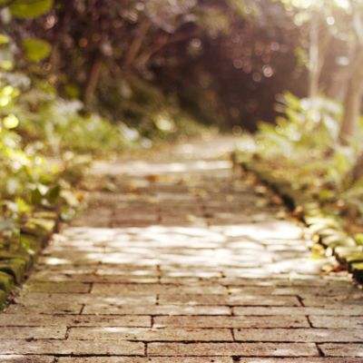 云顶集团手机app下载